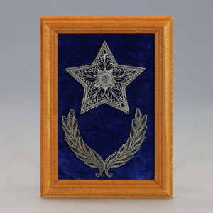 photo_5_2025-03-19_11-00-23